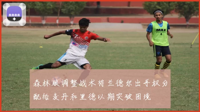 森林狼调整战术将兰德尔出手权分配给麦丹和里德以期突破困境